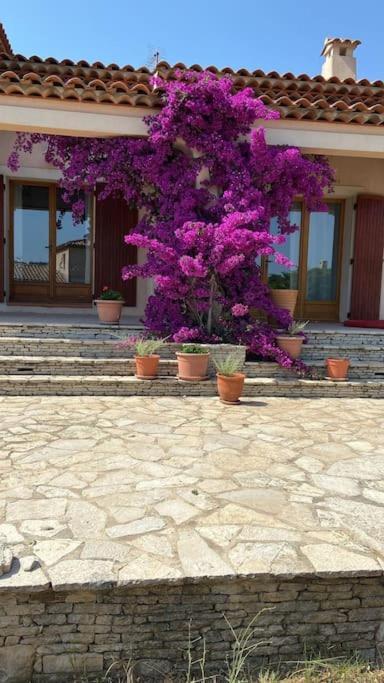 Villa Avec Jardin Au Calme A 7 Min De Cassis Рокфор-ла-Бедюл Екстериор снимка